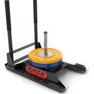 Dog Sled Gym