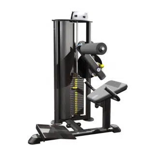 Back Extension Machine