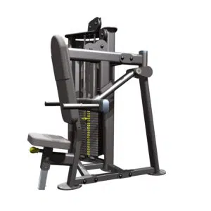 Tricep Dip Machine