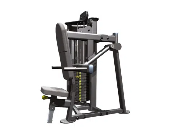 Tricep Dip Machine