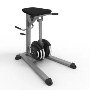 Reverse Hyper Bench