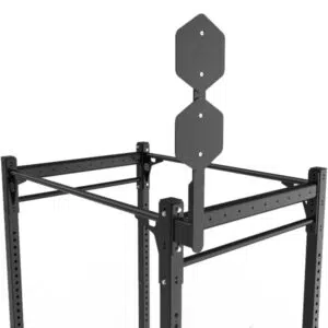 Dual ball target
