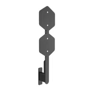 Dual ball target